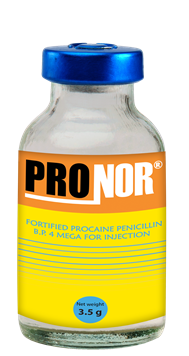 052~PRONOR.png