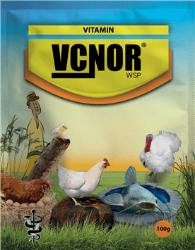 107~Vcnor.png