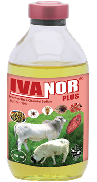 291~ivanor-pluss.png