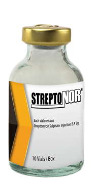 355~STREPTONOR.png