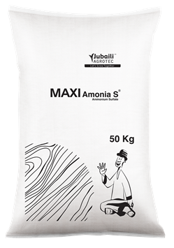400~Maxi-AmoniaS-bag.png