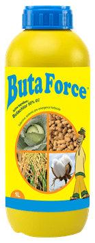 503~Butaforce-1L.png