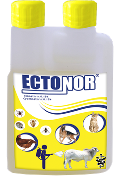 790~ECTONOR.png