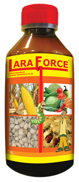 810~Laraforce-1L.png