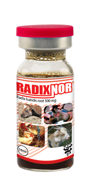 982~RADIXNOR.png