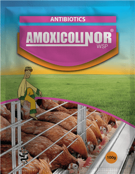 AMOXYCOLINOR.png