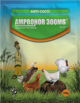 AMPRONOR.png