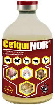 CEFIQINOR-2.5.png
