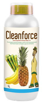 Cleanforce-1L.png