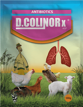 D.COLINORX.png