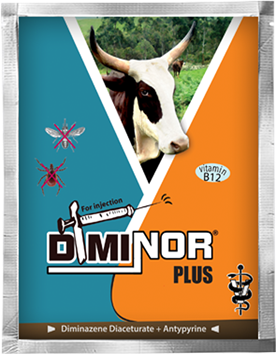 DIMINOR-PLUS-2.36-G.png
