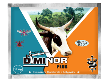 DIMINORPLUS23.6G.png