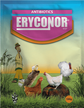 ERYCONOR.png