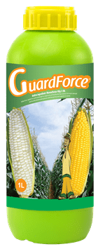 Guardforce-Green-1L.png