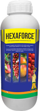 Hexaforce-1L.png