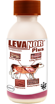 IVANOR-PLUS.png