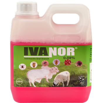 Ivanor0.08.png
