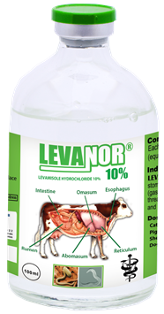 LEVANOR-10.png