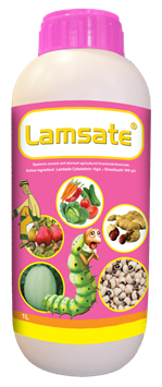 Lamsate-1L-bottle-Ghana.png