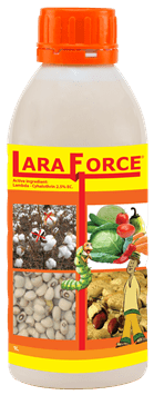 Laraforce-1L.png