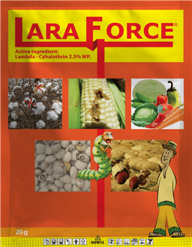 Laraforce-20g.png