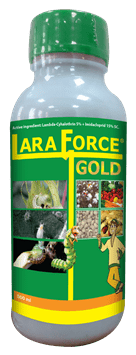 LaraforceGold-500ml.png
