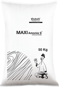 Maxi-Amonia-S.png