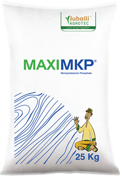 Maxi-MPK.png