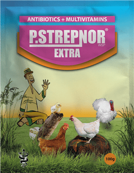 P-STREPNOREXTRA.png