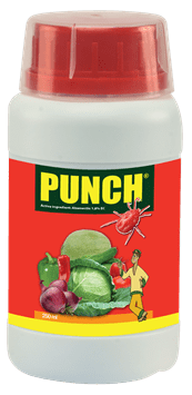 Punch-250ml.png