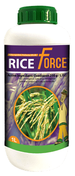 Riceforce-1L.png