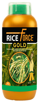 Riceforce-Gold-1L.png