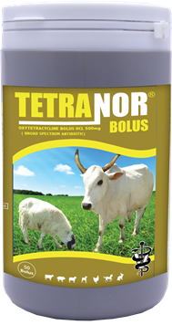TETRANOR-BOLUS_.png