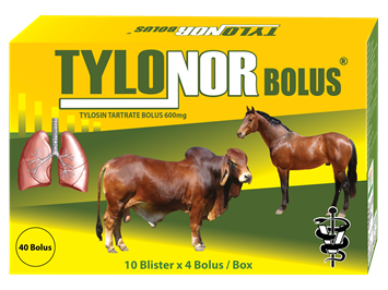 TYLONOR-BOLUS_.png