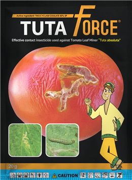 Tutaforce-20g.png