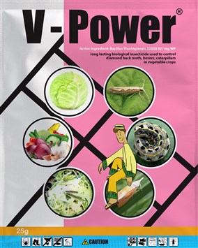 V-power-25g.jpg