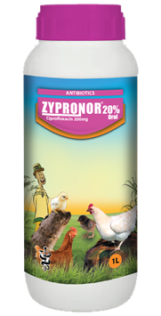 ZYPRONOR-20.png