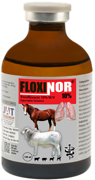 floxinor-10.png
