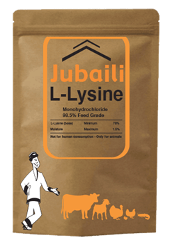 jubaili-lysine-copy.png
