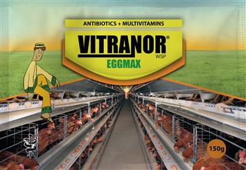 vitranor-eggmax.jpg