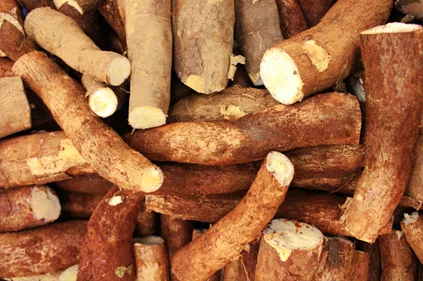 Cassava, Yam
