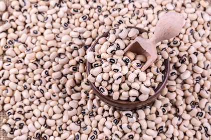 Leguminous (Beans, Soybeans, Groundnuts, Cowpea)