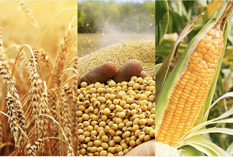 Throughout the various product lines we operate in within the agrochemical industry,