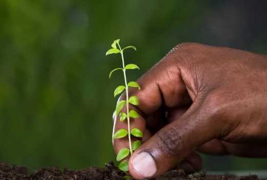 Reduced Inequalities