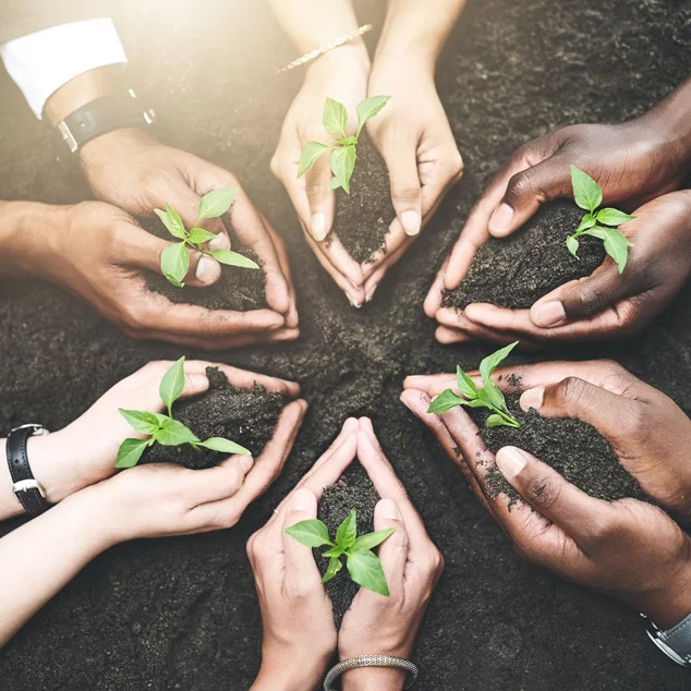 Redução das Desigualdades